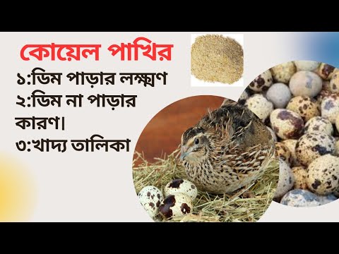 Dom 2 dan Rima Pendjieva bilan porno