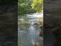spot mancing paling dicari 😍 #mancingdisungai #mancingliar #mancingikan #mancing