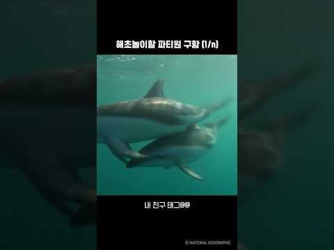 해초놀이할 파티원 구함 (1/n)