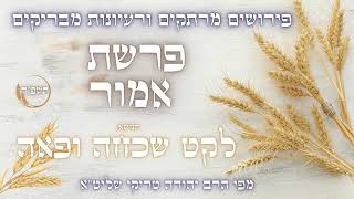 פירושים מרתקים ורעיונות מבריקים לפרשת אמור תשפ"ד - מפי הרב יהודה טריקי שליט"א