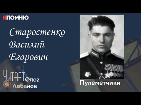 Старостенко Василий Егорович.  Проект "Я помню" Артема Драбкина. Пулеметчики.