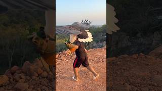 The Kids’ Calls Left the Eagle Mesmerized! 🦅✨ #explore #nature #eagle