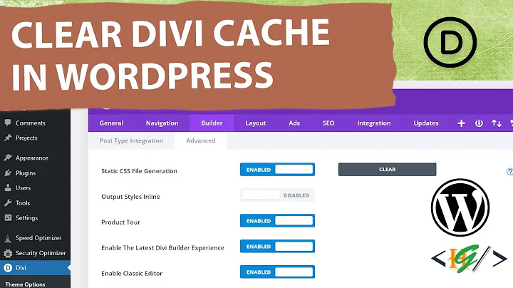How to Clear DIVI Theme Cache in WordPress