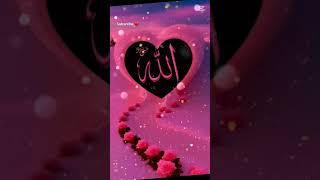Allah like ❤️🌺🕋🤲🌺