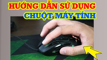 Cách sử dụng chuột trên máy tính dành cho người mới bắt đầu