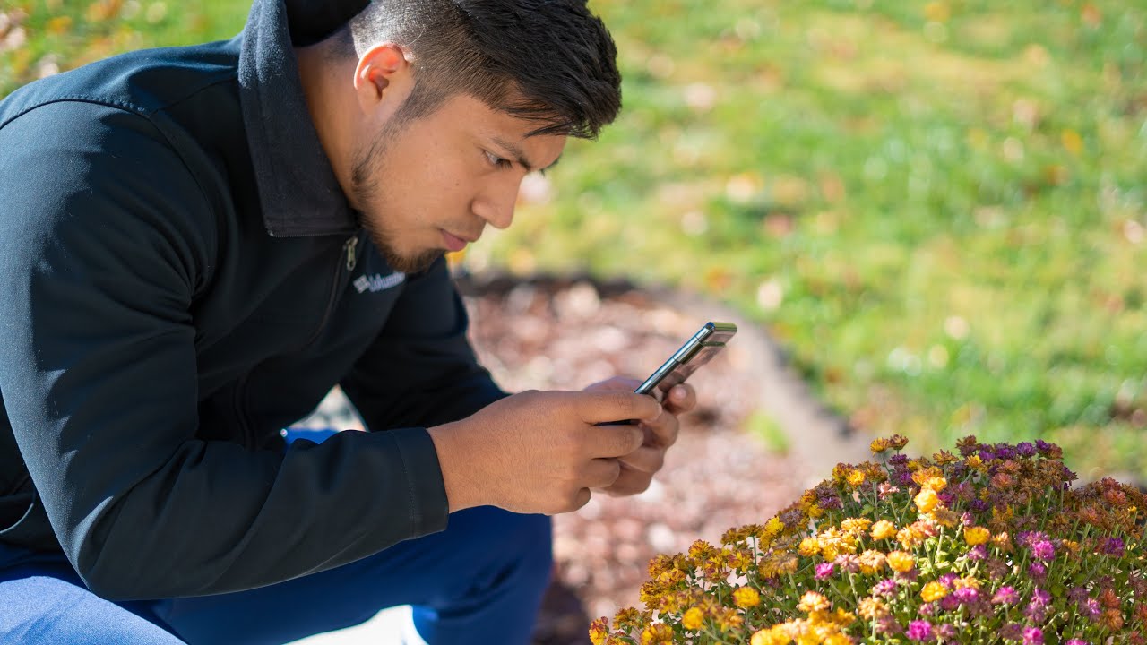 Pixel 7 Pro replacing Mirrorless cameras? - Photographers review!