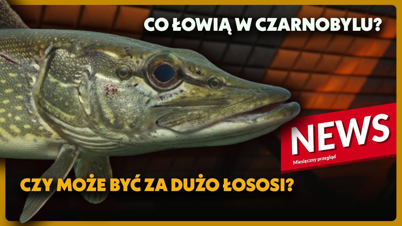 Wędkarskie Wiadomości Sierpień | Wild Fish Stories NEWS
