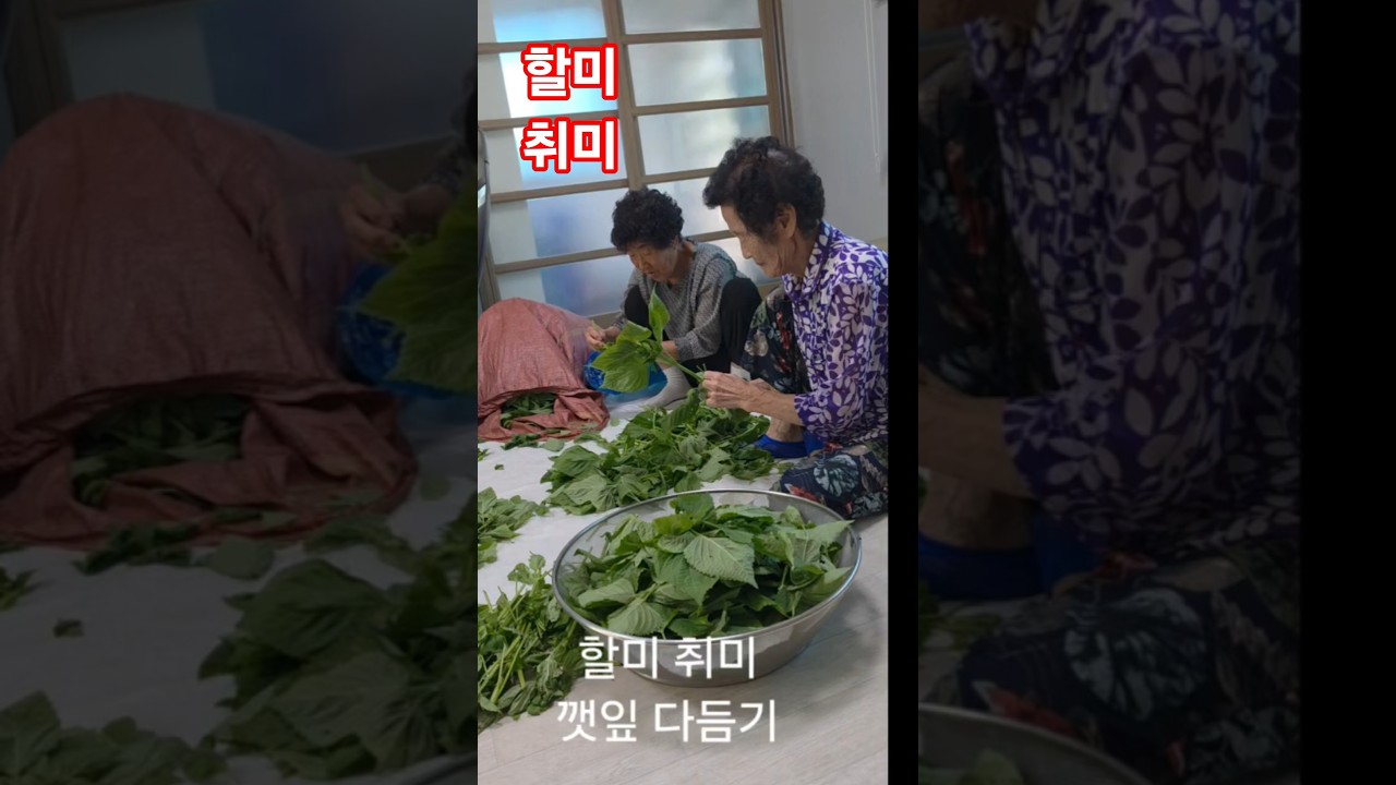 할미 취미 깻잎 다듬기