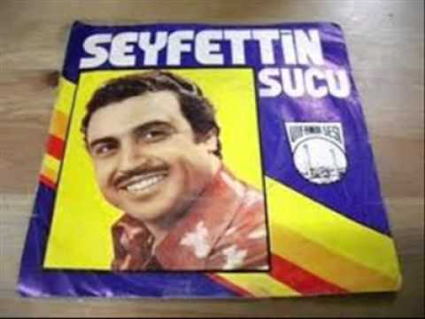 Seyfettin Sucu - Öleceğim Birgün