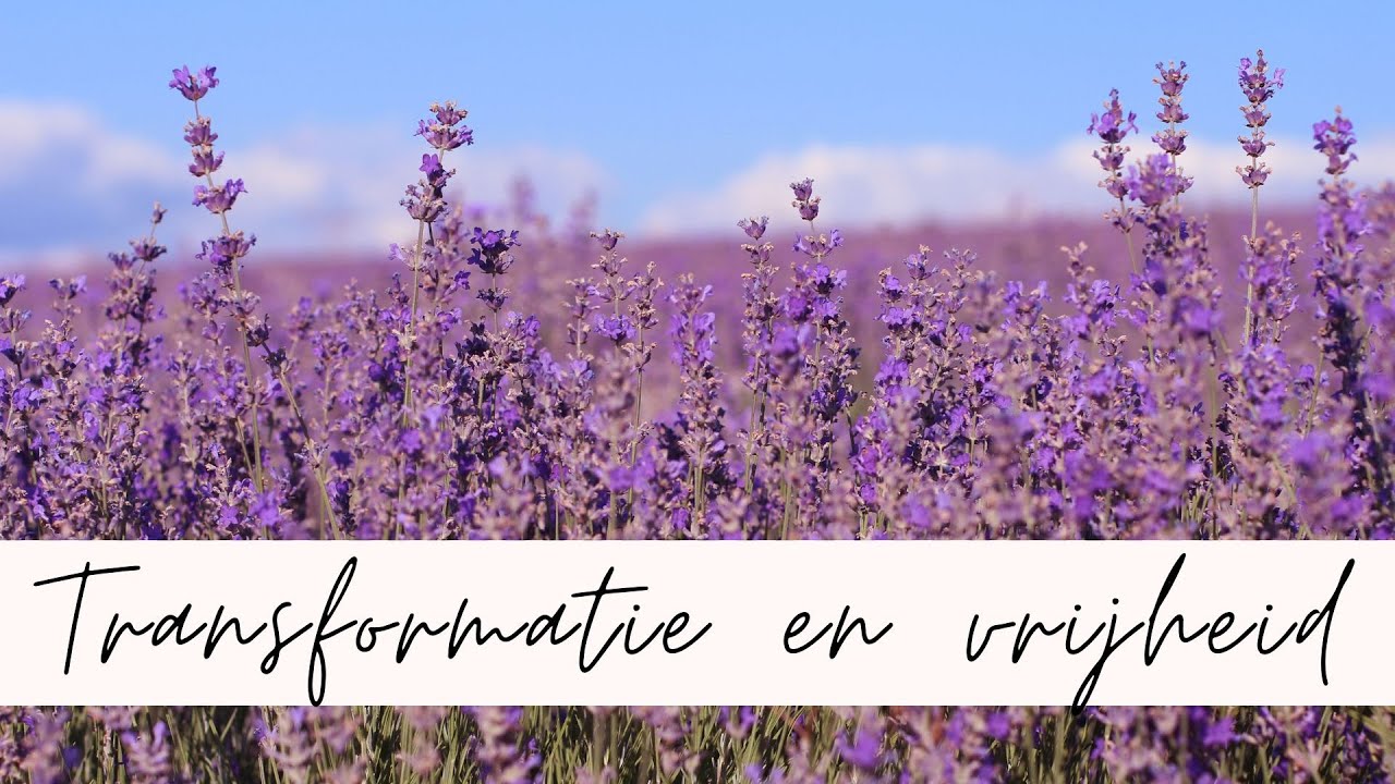 Freeze, timing en thuiskomen 