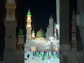 Ya habibi ya Muhammad ❤️✨