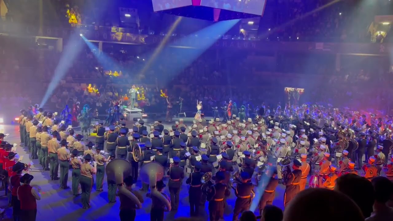 Musique finale sur Magic Système pour la Carnaval  de Chalon sur Saône 2025