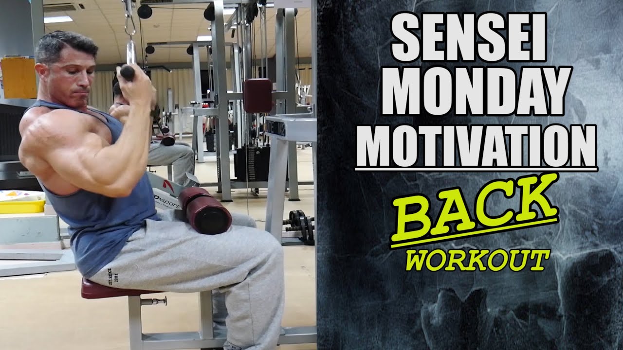 💯 BACK WORKOUT | Rutina completa Espalda | Motivación Gym🔝 - YouTube