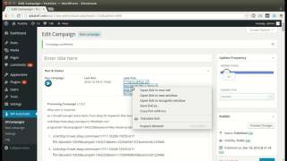 Wordpress Automatic Plugin How to post from ebay to wordpress