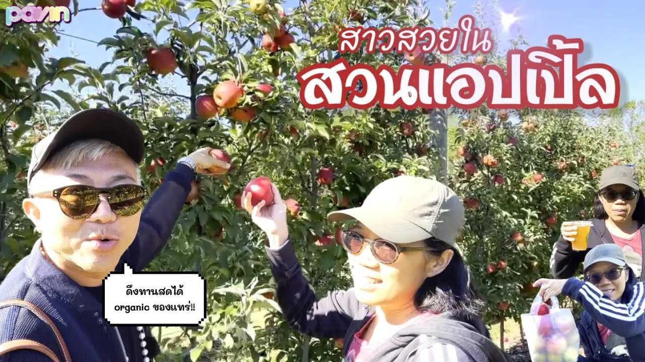 Ep.83 สาวสวยในสวนแอปเปิ้ล