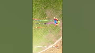 Matte Flips over a Kite #fpv #drone #fpvfreestyle