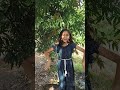 Kehta rea gaya song dance😍🥰😘✨ #song #dance #Vlogs &Shorts with Ishu