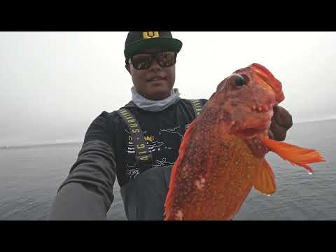 Do you REALLY need an electric reel? Piscifun Kraken Electric Big Game Reel