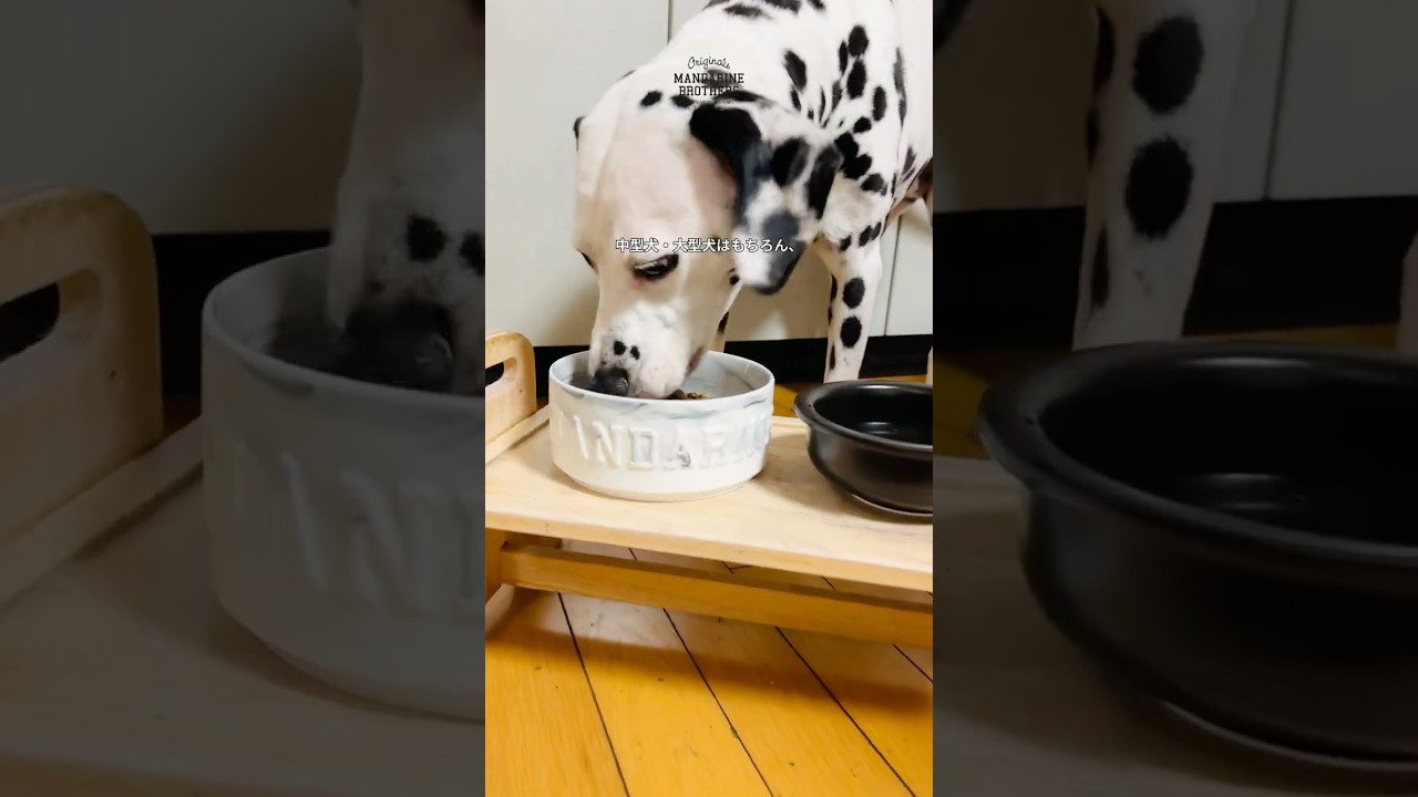 MARBLE COMBINATION BOWLS マーブルコンビネーションボウルズ