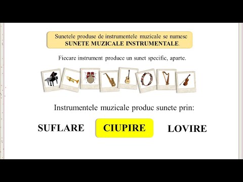 Sunete muzicale PARTEA  a II-a - Instrumente muzicale cu coarde ciupite