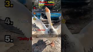 Ranking Funny Duck Moments