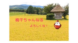 「【自己紹介】日向米　梅干【Vtuber】」のサムネイル