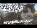 ご無沙汰しております 動画再開します