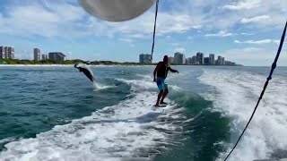 WATCH: Dolphin Tails Foil Board Rider Off Naples Coast