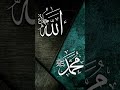 🌙 When Life Gets Hard, Remember Allah is Always With You 🤲 #sabla #zakaah #IslamicReminder #TrustAl