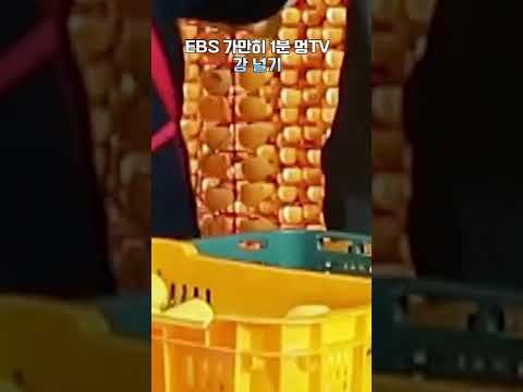 EBS 가만히 1분 멍TV 감 널기 #shorts #감 #<strong>단감</strong> #과일 #가을 #멍 #ebs