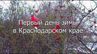 Фото Анны Хрупиной В Нижнем Белье