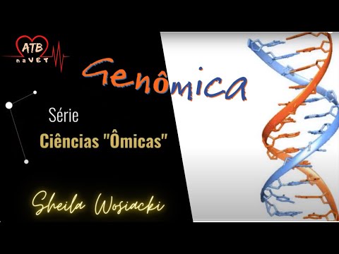 Vídeo: Superscaffolding Evolutivo E Ancoragem Cromossômica Para Melhorar As Montagens Do Genoma De Anopheles