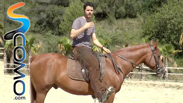 ¿Qué tipo de cuerpo es mejor para montar a caballo?