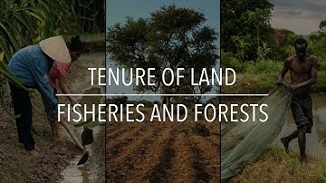 FAO Policy Series: Tenure of Land, Fisheries and Forests
