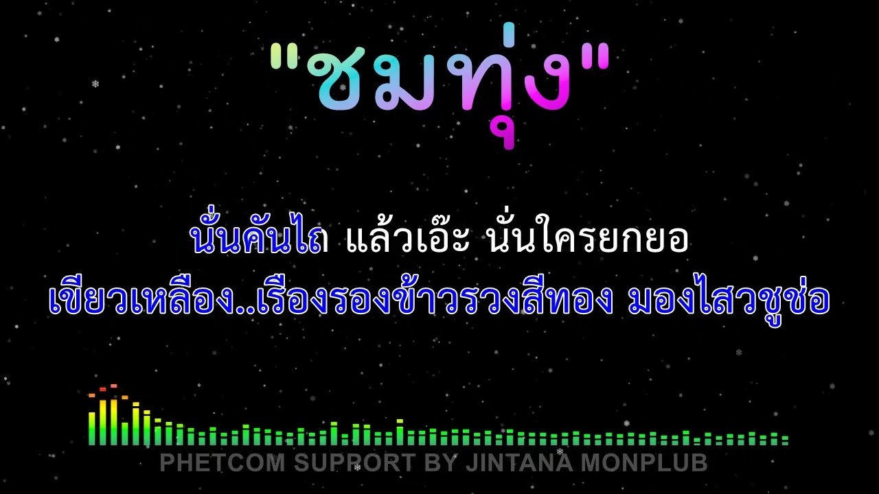 ชมทุ่ง คาราโอเกะ Midi Karaoke Cover 140/Dm