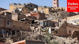 Charity Navigator CEO Explains How To Find The Best Charities To Donate To Help Morocco