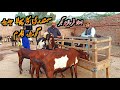 Visit of goat life line farm  ustad farhan gujjar