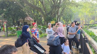 KESERUAN RATU META,ZASKIA GOTIK,VEGA DARWANTI DI RAGUNAN !!!