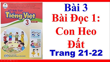 Vở Bài Tập Tiếng Việt Lớp 3| Bài 3| Bài Đọc 1| Con Heo Đất| Trang 21 22| Sách Cánh Diều