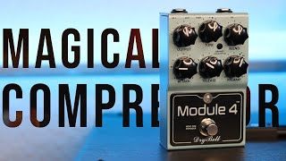 DryBell Module 4 Demo // Orange Flavored Compression & More