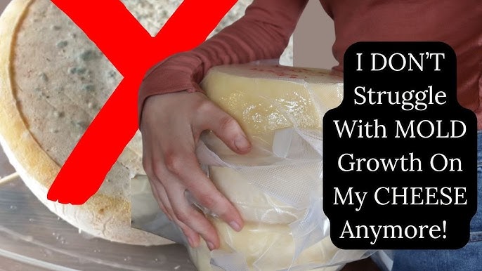 You've Been Storing Cheese Wrong Your Entire Life 