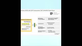 Sap Rise 2026, What Is It ?