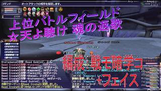 FF11　石を見る夢　上位バトルフィールド　★天よ聴け 魂の返歌　とてもむずかしい