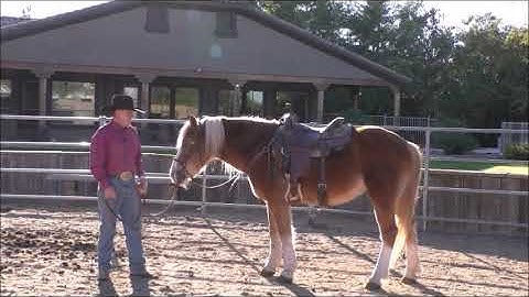 Episode 1 Problem Solving Horse Won