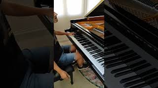 Video thumbnail of "🎶 Personal Jesus - Depeche Mode - Piano cover 🎹"