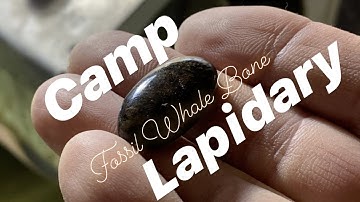 Short Stories from the Lapidary Dungeon - Vol. 11 - Fossil Whale Bone