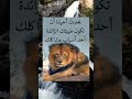 يحدث احيانا أن طيبتك الزائدة حالات واتس علم النفس Shorts Story عبارات خواطر ستوريات يحدث احيانا أن طيبتك الزائدة حالات واتس علم النفس Shorts Story عبارات خواطر ستوريات