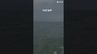 Stay Mengarungi Samudera Resimi