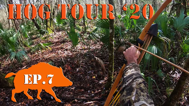 Back to HOG MECCA - Recurve Bow Hunting Public Land Hog Tour '20 Ep.7
