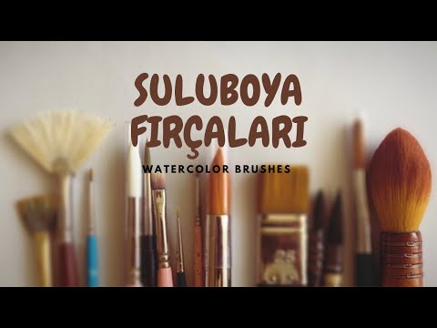 Video: Sulu Boya Fırçaları Nasıl Seçilir